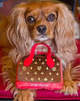Gitano Kit Dog Toy Set For Pet: Boujee Pawz - Chewy Vuitton Plush Dog Toy Set | Luxury Designer Chew Toys for Dogs