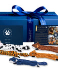 Gitano Kit Squeaky Toy For Pet: Furry Pawz Durable Squeaky Dog Toy for Large and Small Dogs - Non-Toxic, Interactive, and Chew-Resistant
